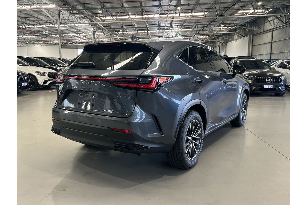 2024 Lexus NX NX250 AAZA20R
