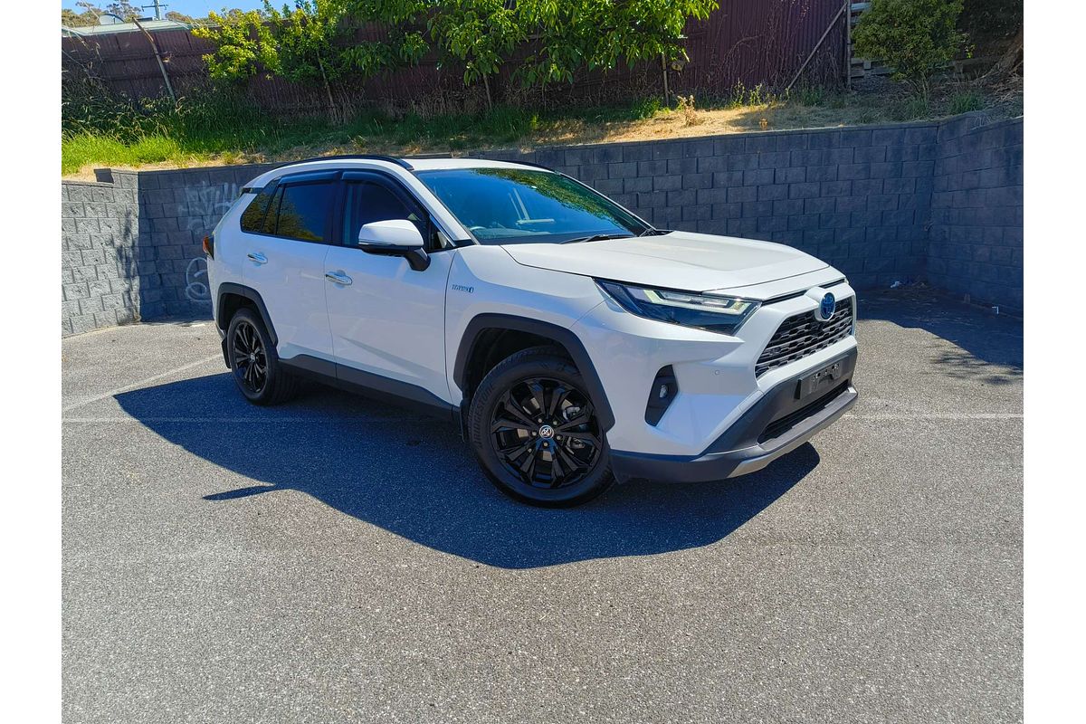 2023 Toyota RAV4 Cruiser AXAH54R