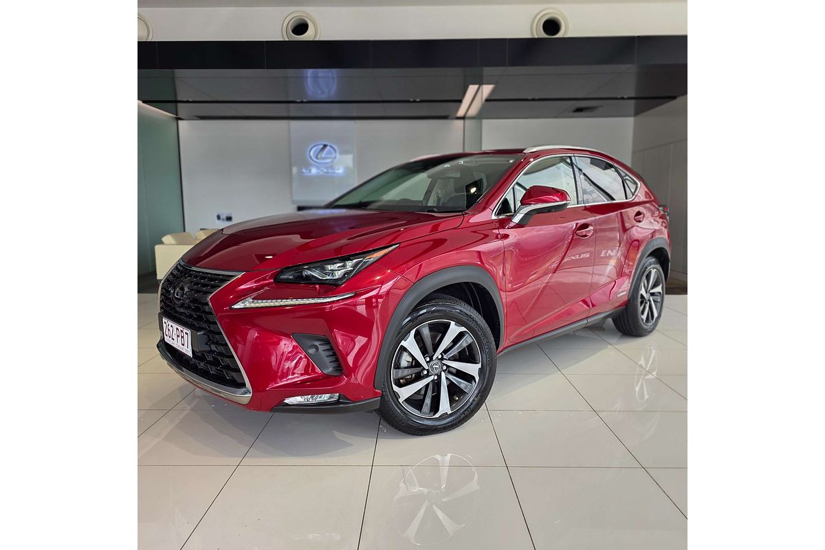 2019 Lexus NX NX300h Sports Luxury AYZ15R