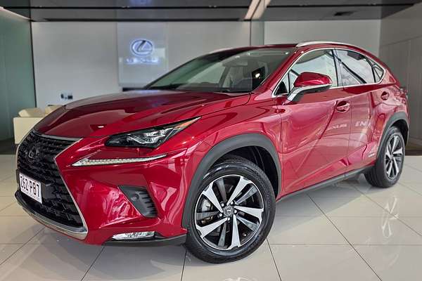 2019 Lexus NX NX300h Sports Luxury AYZ15R