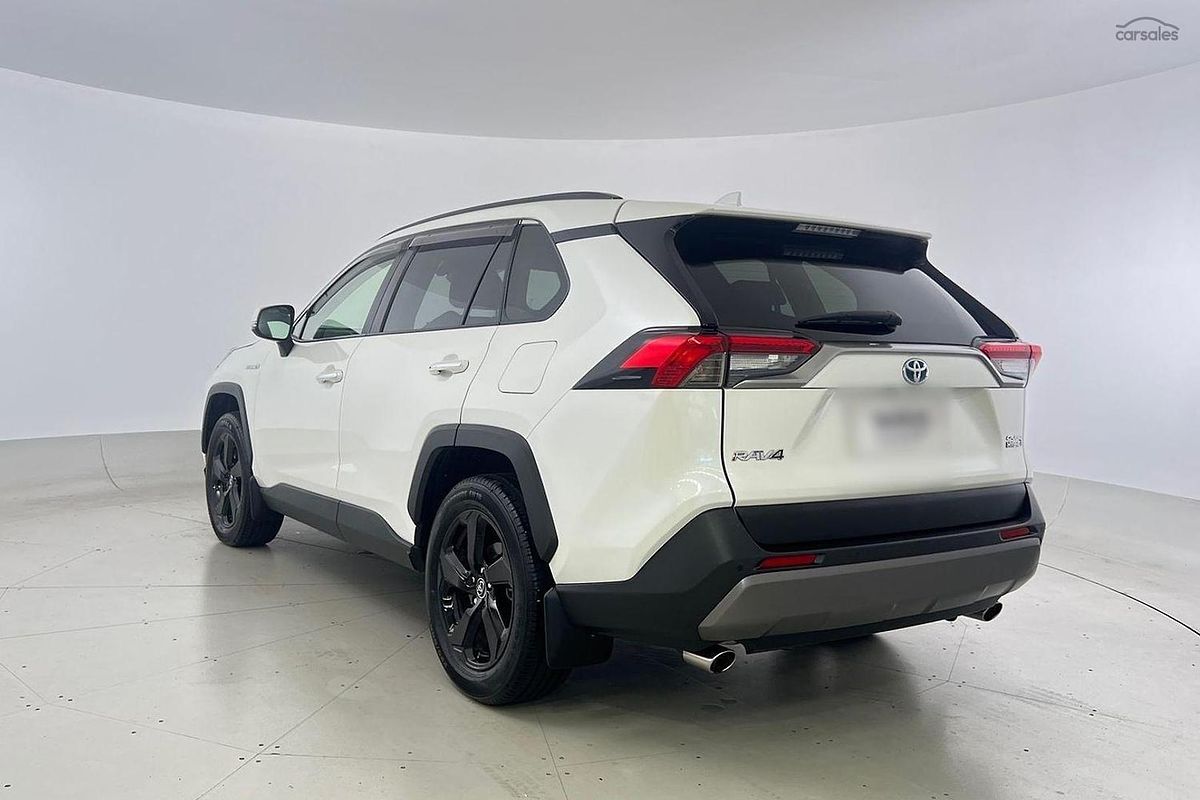2019 Toyota RAV4 Cruiser AXAH52R