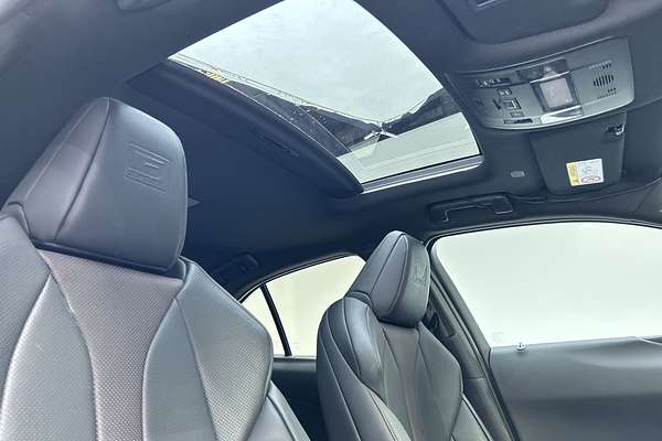 2024 Lexus UX UX300h F Sport MZAH16R thumb-14