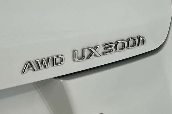 2024 Lexus UX UX300h F Sport MZAH16R thumb-21