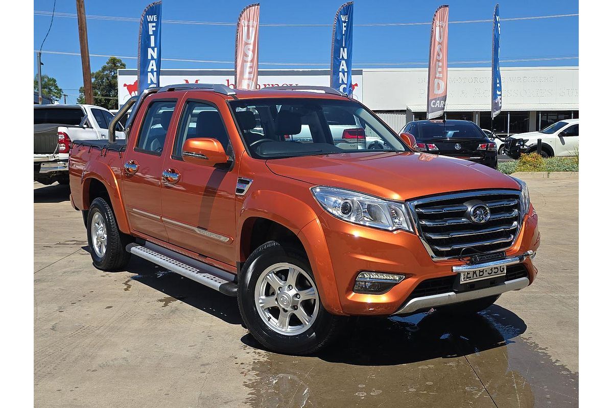 2020 Great Wall Steed NBP Rear Wheel Drive