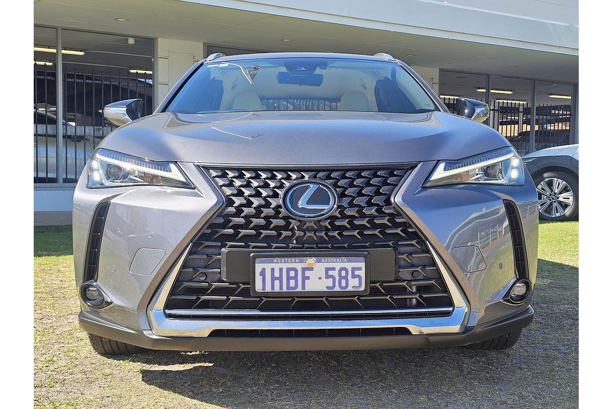 2019 Lexus UX UX200 Luxury MZAA10R