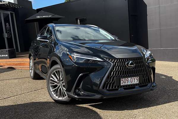 2025 Lexus NX NX350h Sports Luxury AAZH20R