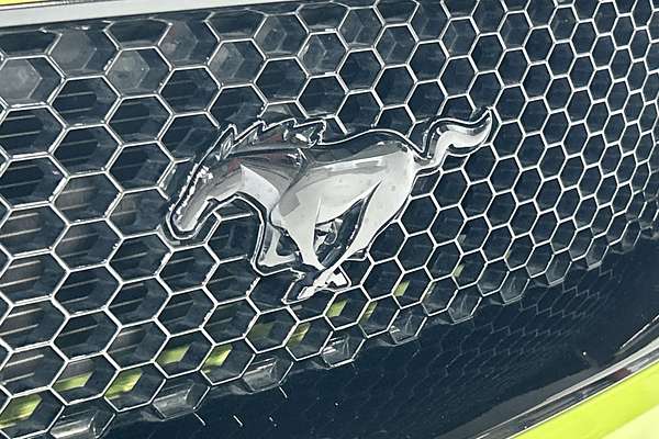2019 Ford Mustang GT FN thumb-21