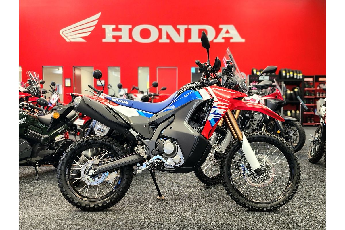 2025 Honda CRF300 RALLY