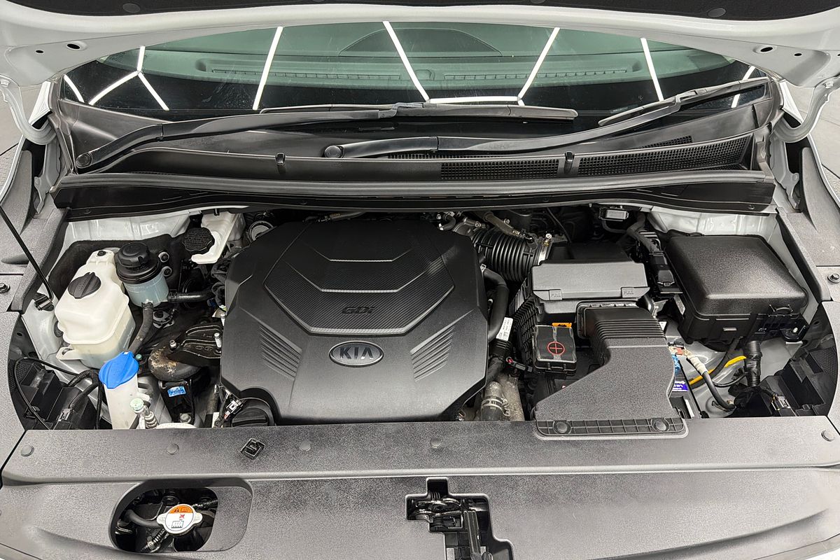 2019 Kia Carnival Platinum YP