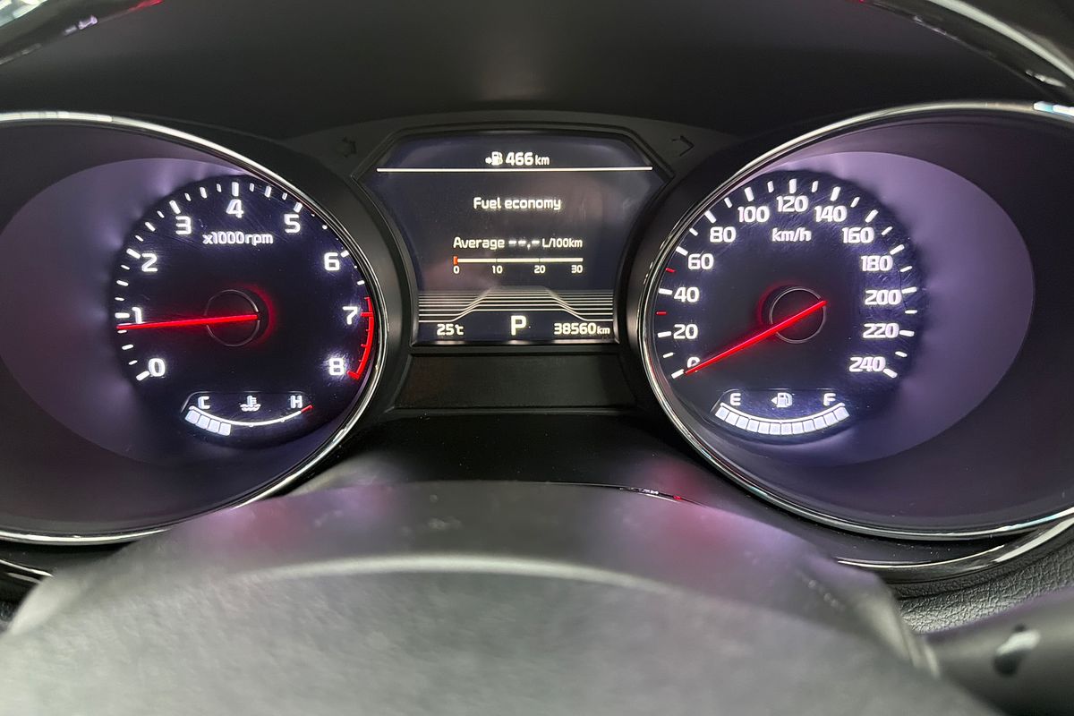 2019 Kia Carnival Platinum YP