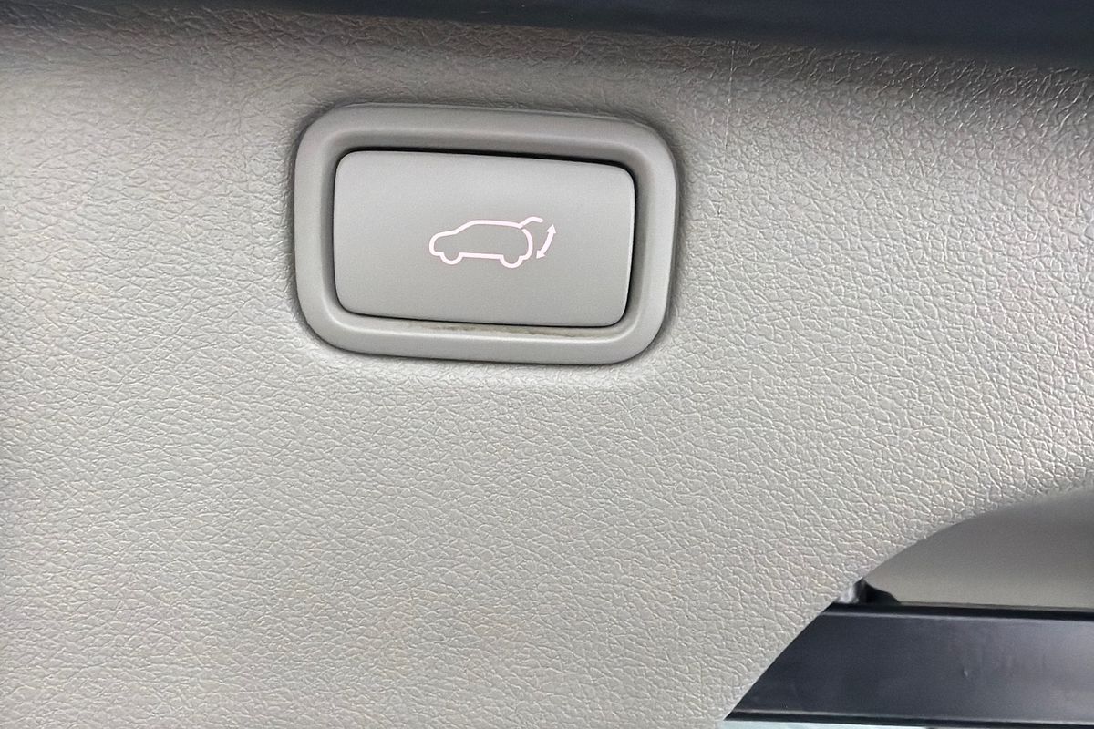 2019 Kia Carnival Platinum YP