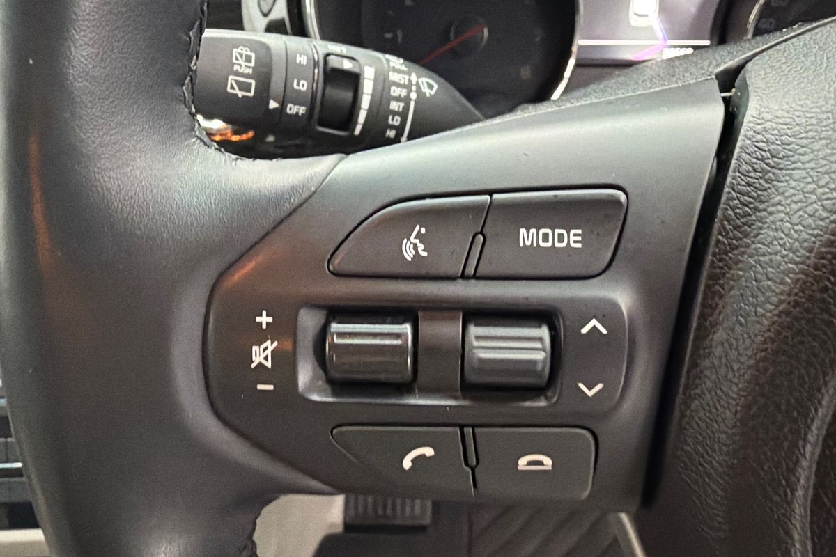 2019 Kia Carnival Platinum YP