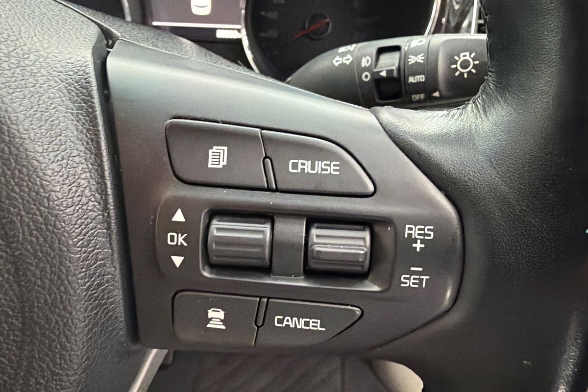 2019 Kia Carnival Platinum YP