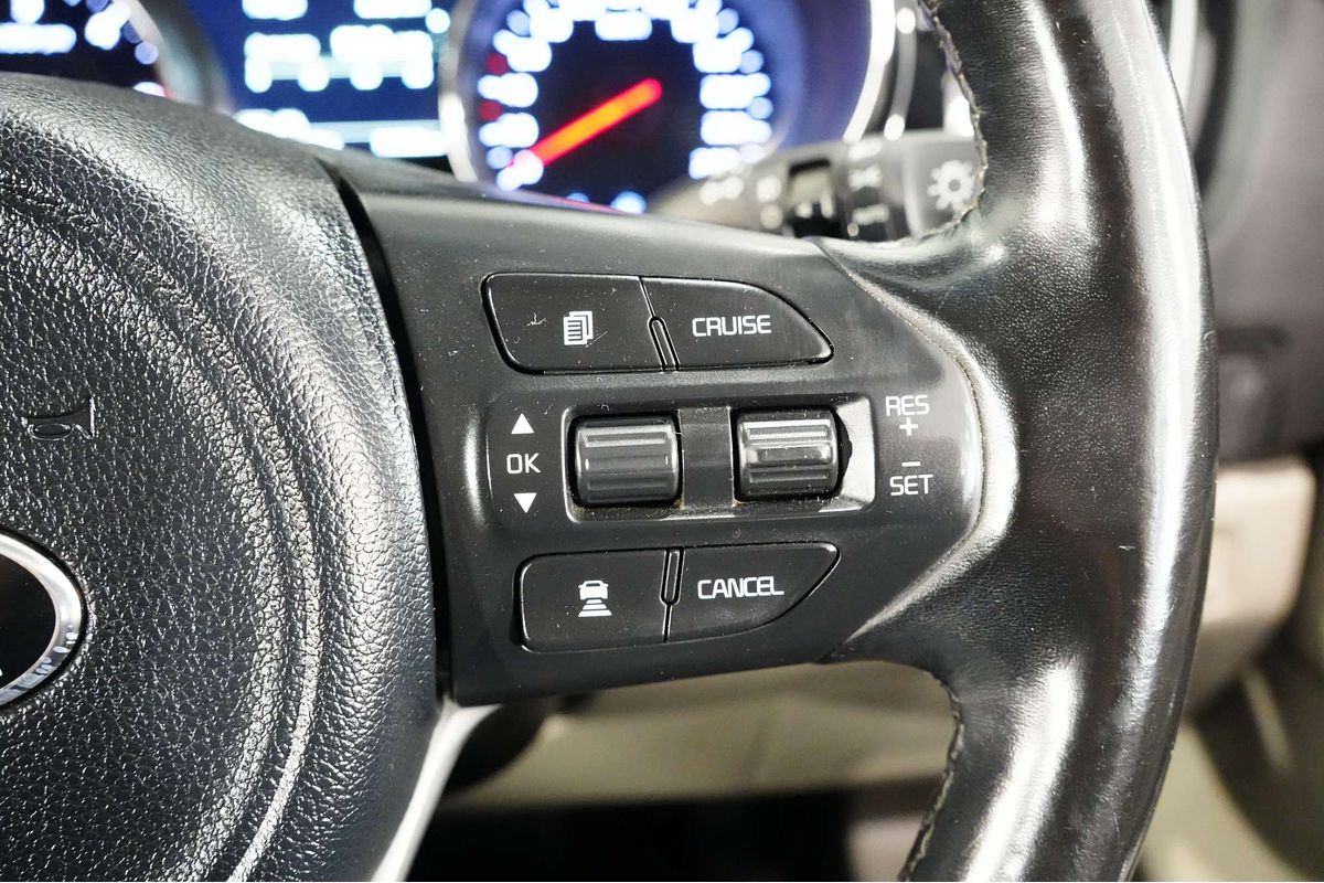 2018 Kia Carnival Platinum YP