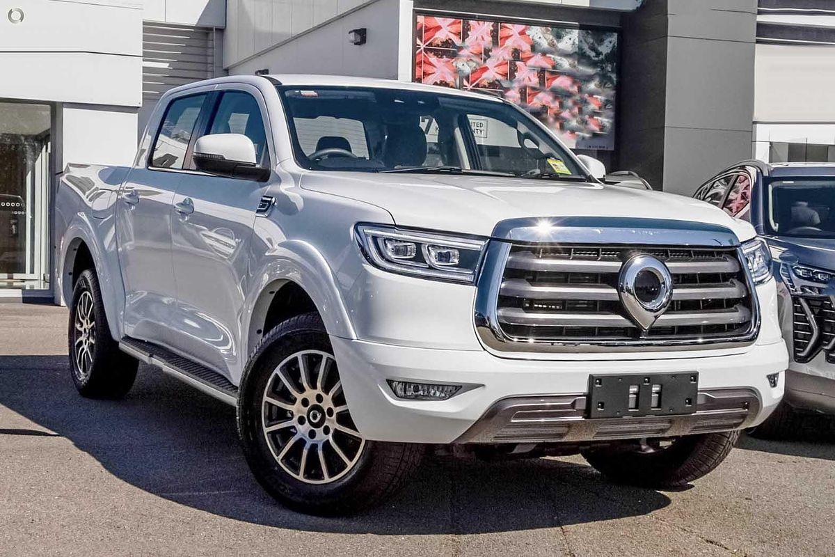2021 GWM Ute Cannon NPW Rear Wheel Drive