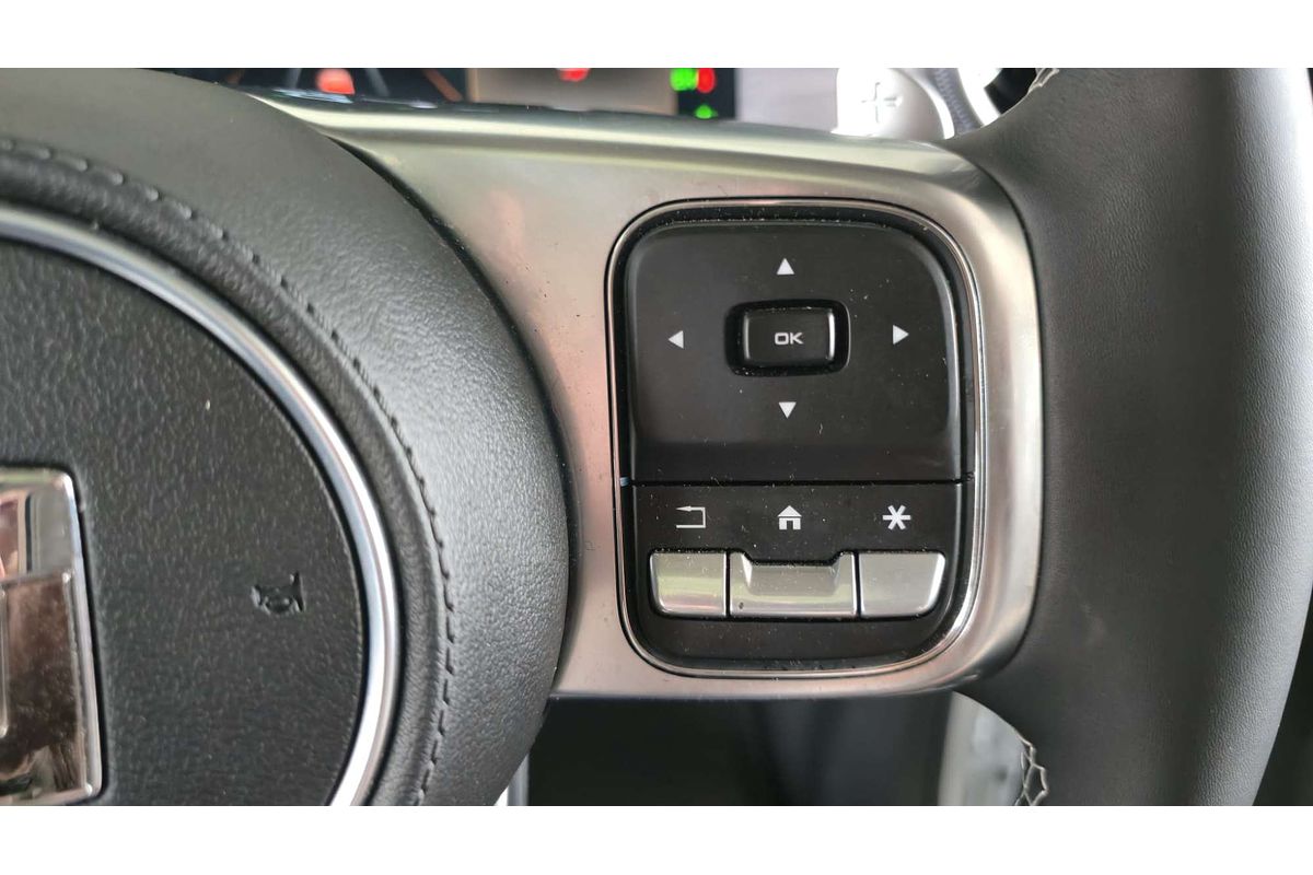 TANK 300 ULTRA PETROL 2.0L T4 TURBO DIRECT F/INJ 8 SP AUTOMATIC 4D WAGON 