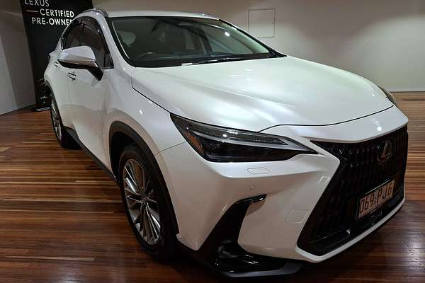 2023 Lexus NX350h NX350h Sports Luxury AAZH20R