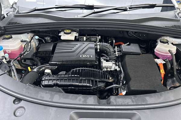 2024 BYD SEALION 6 Dynamic thumb-10