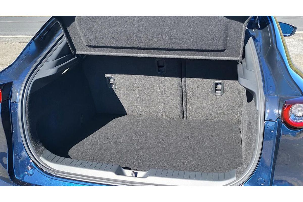 Mazda CX-30 F 6AUTO WAGON G20 PURE