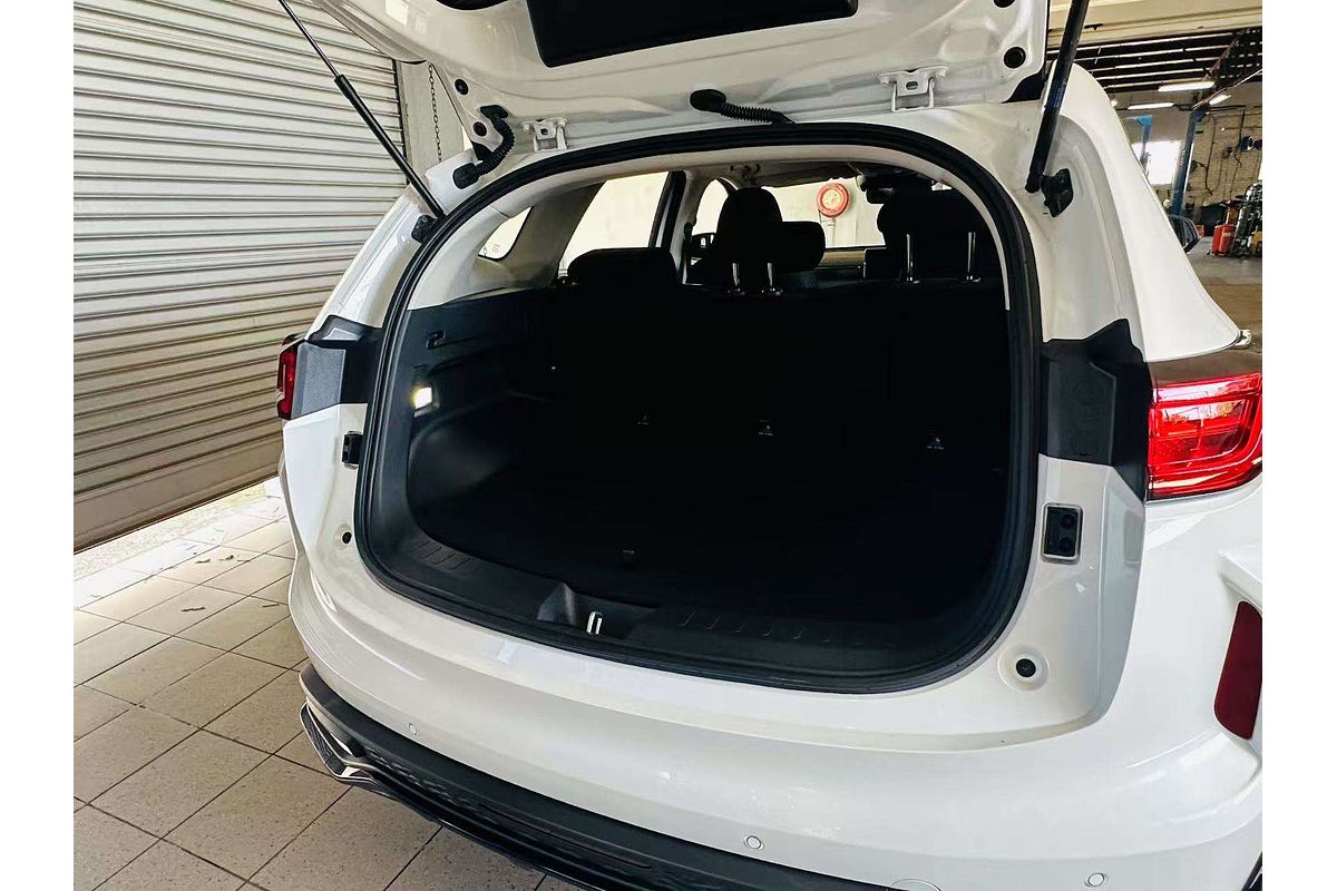 Jolion Pro Premium Auto 4x2 Hybrid