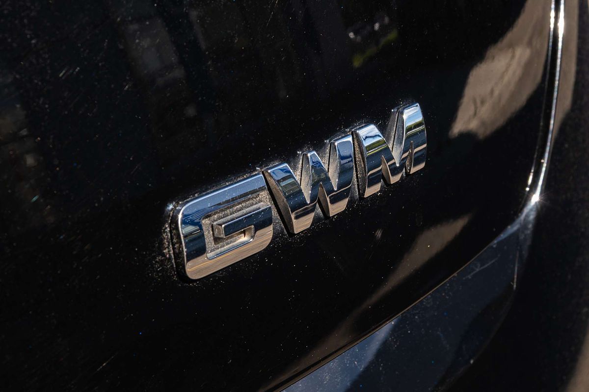 2024 GWM Ora Standard Range ES11