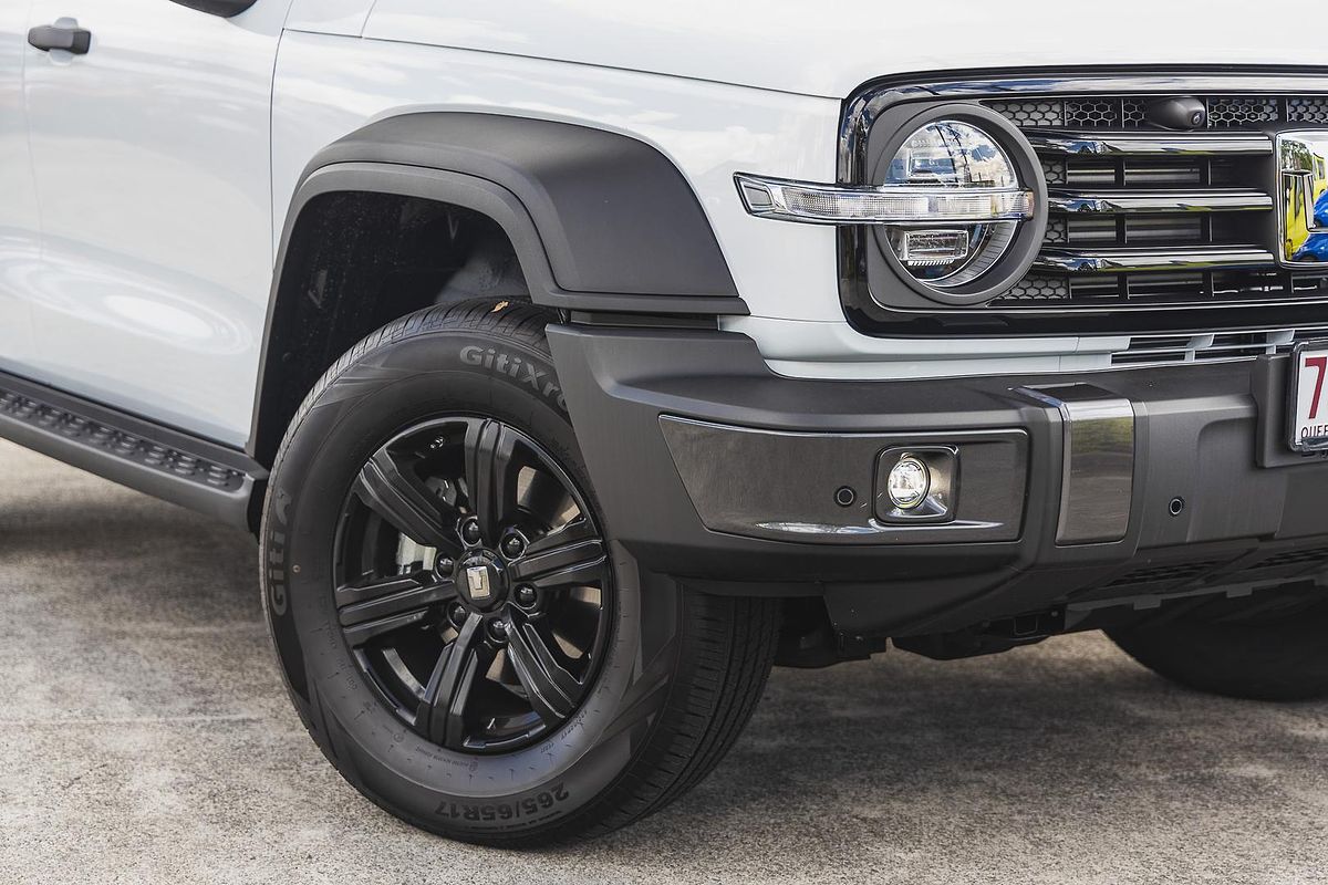 2025 GWM Tank 300 Lux P01