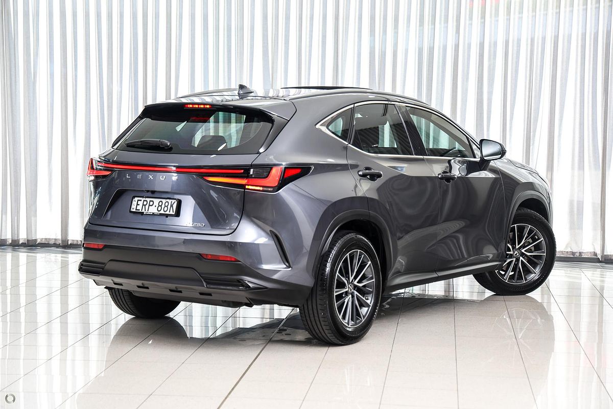 2021 Lexus NX NX250 AAZA20R