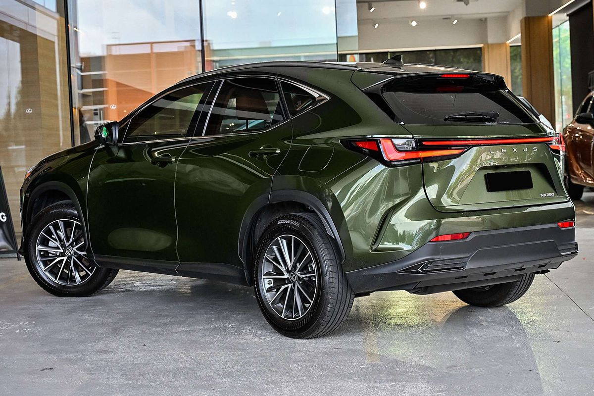 2022 Lexus NX NX250 AAZA20R