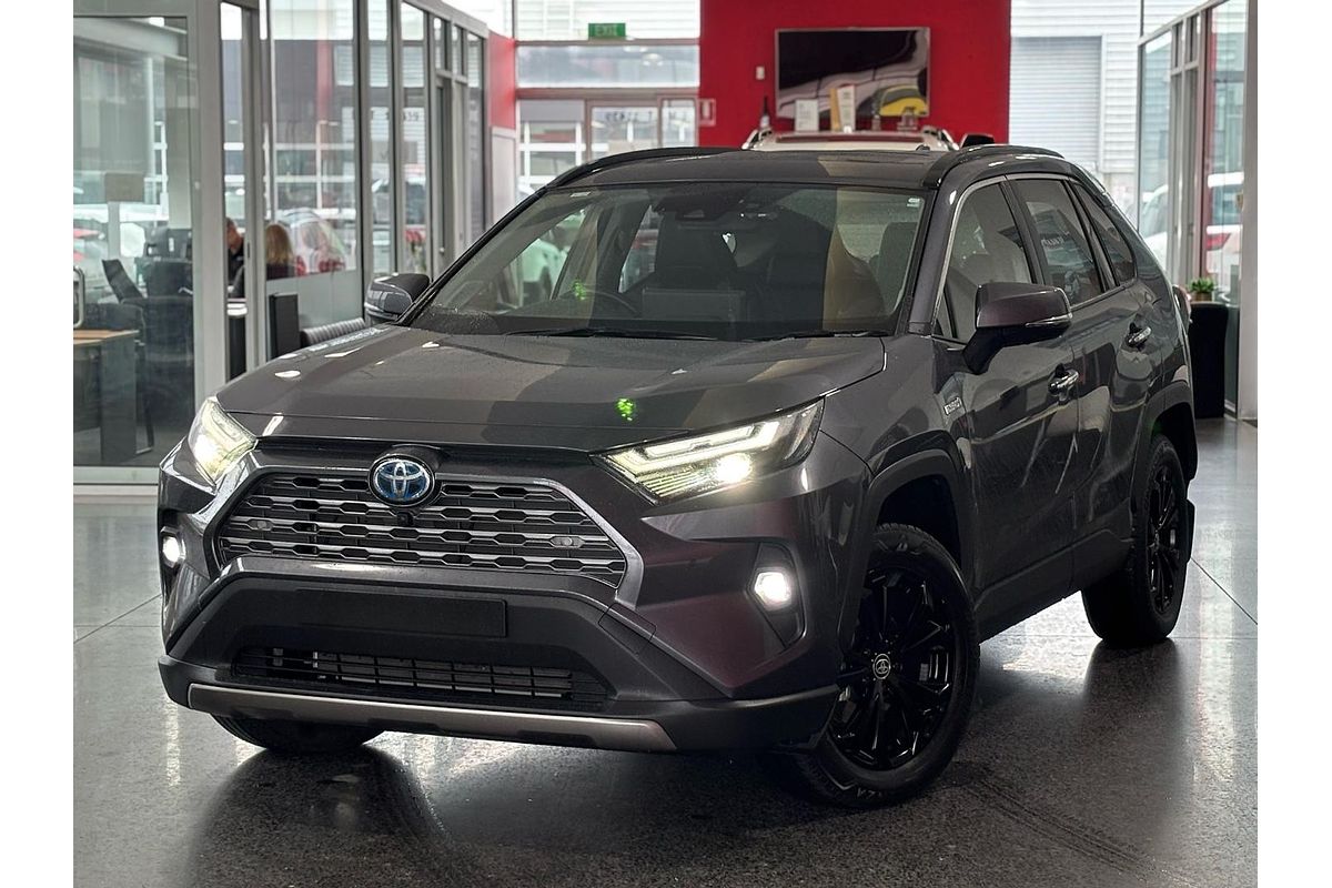 2024 Toyota RAV4 Cruiser AXAH54R