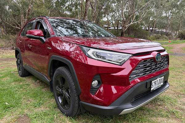 2019 Toyota RAV4 Cruiser AXAH52R