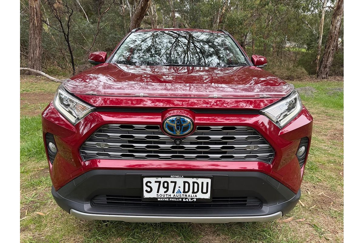 2019 Toyota RAV4 Cruiser AXAH52R