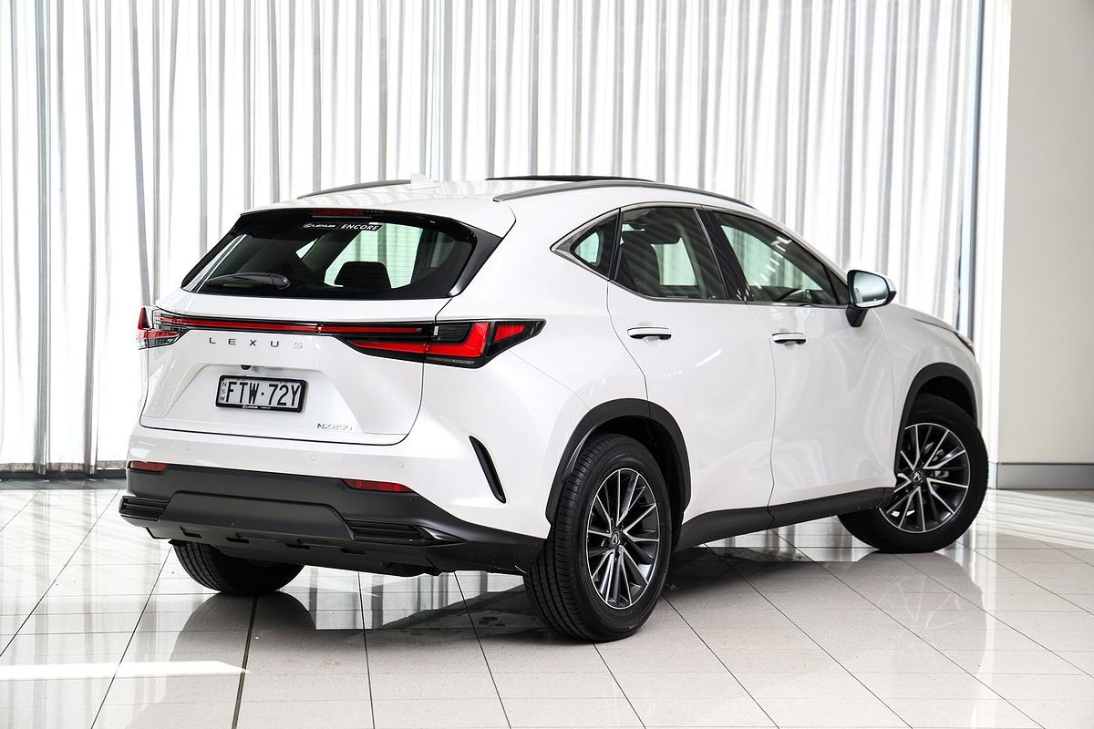 2024 Lexus NX