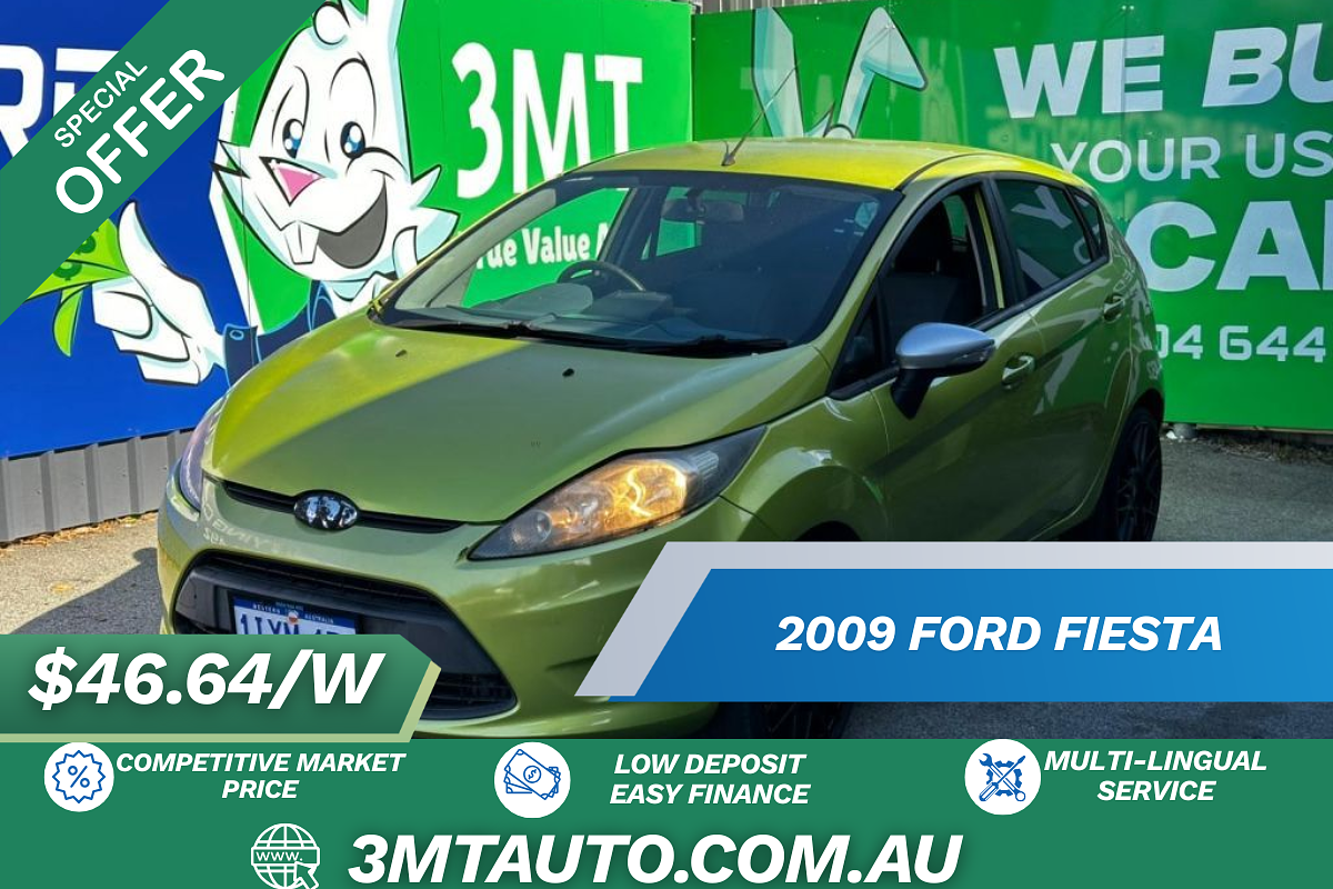 2009 Ford Fiesta LX WS