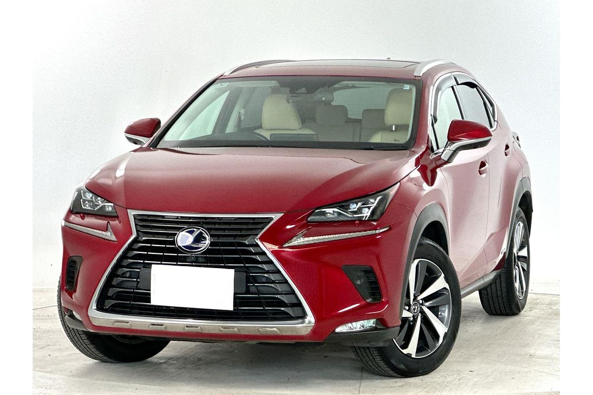 2020 Lexus NX NX300h Sports Luxury AYZ15R