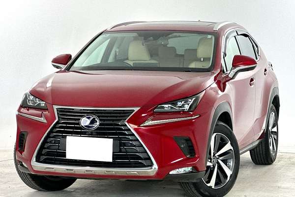 2020 Lexus NX NX300h Sports Luxury AYZ15R