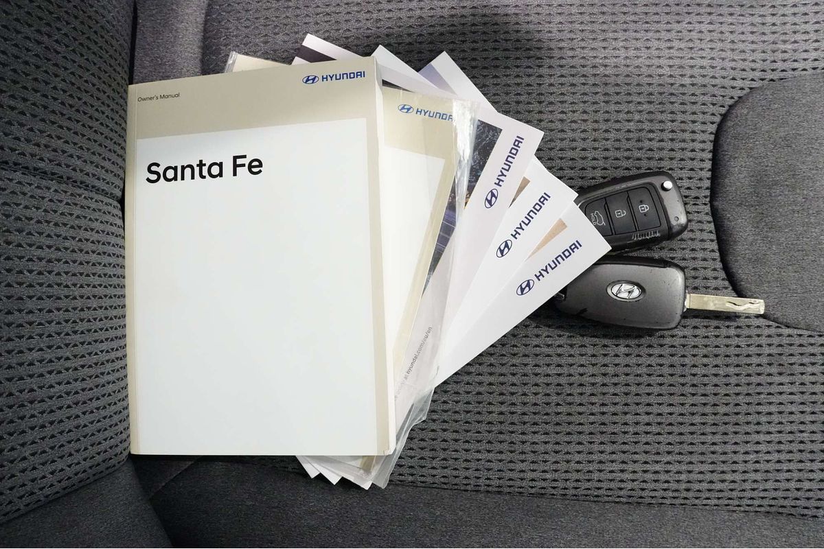 2021 Hyundai Santa Fe TM.V3