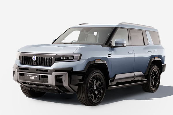 2025 DENZA B8