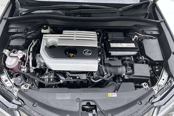 2023 Lexus UX UX200 Luxury MZAA10R thumb-10