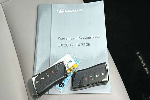 2023 Lexus UX UX200 Luxury MZAA10R thumb-22