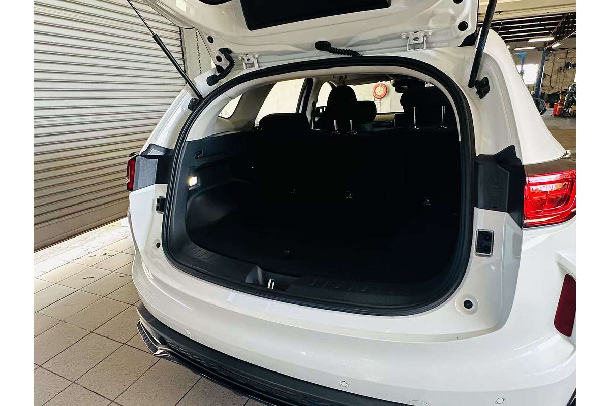 Jolion Pro Premium Auto 4x2 Hybrid