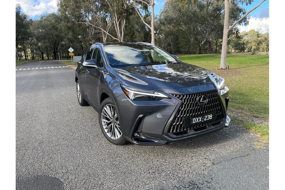 2025 Lexus NX NX350h Sports Luxury AAZH25R