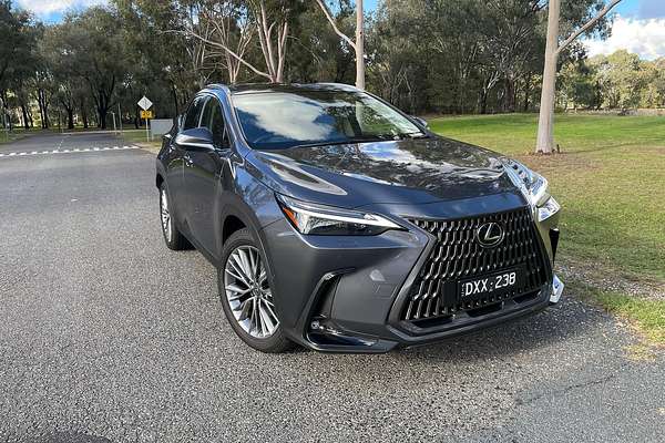 2025 Lexus NX NX350h Sports Luxury AAZH25R