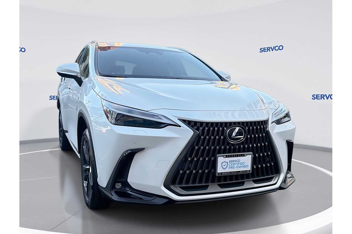 2024 Lexus NX Luxury
