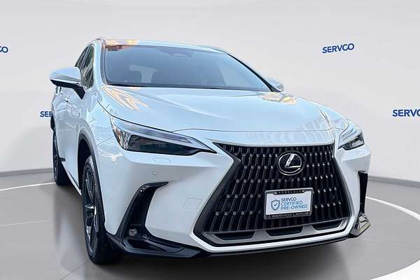 2024 Lexus NX Luxury