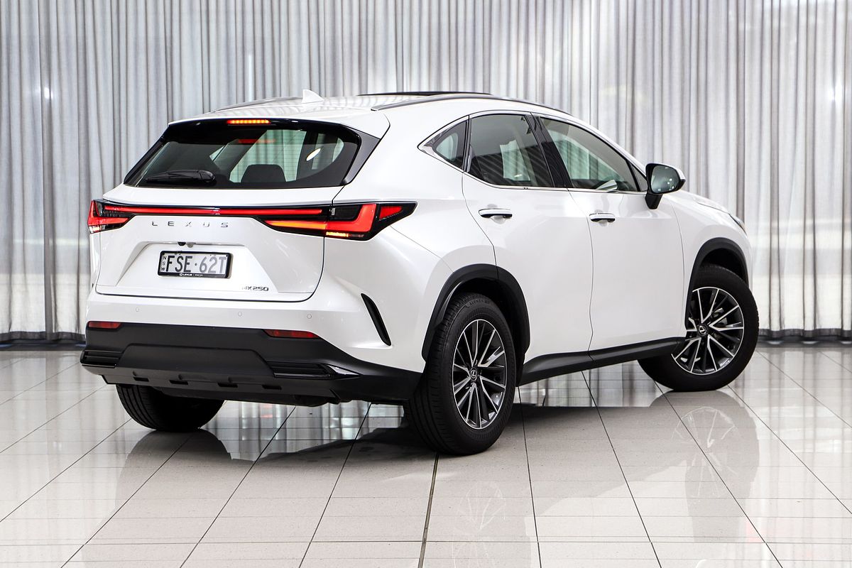 2024 Lexus NX NX250 AAZA20R