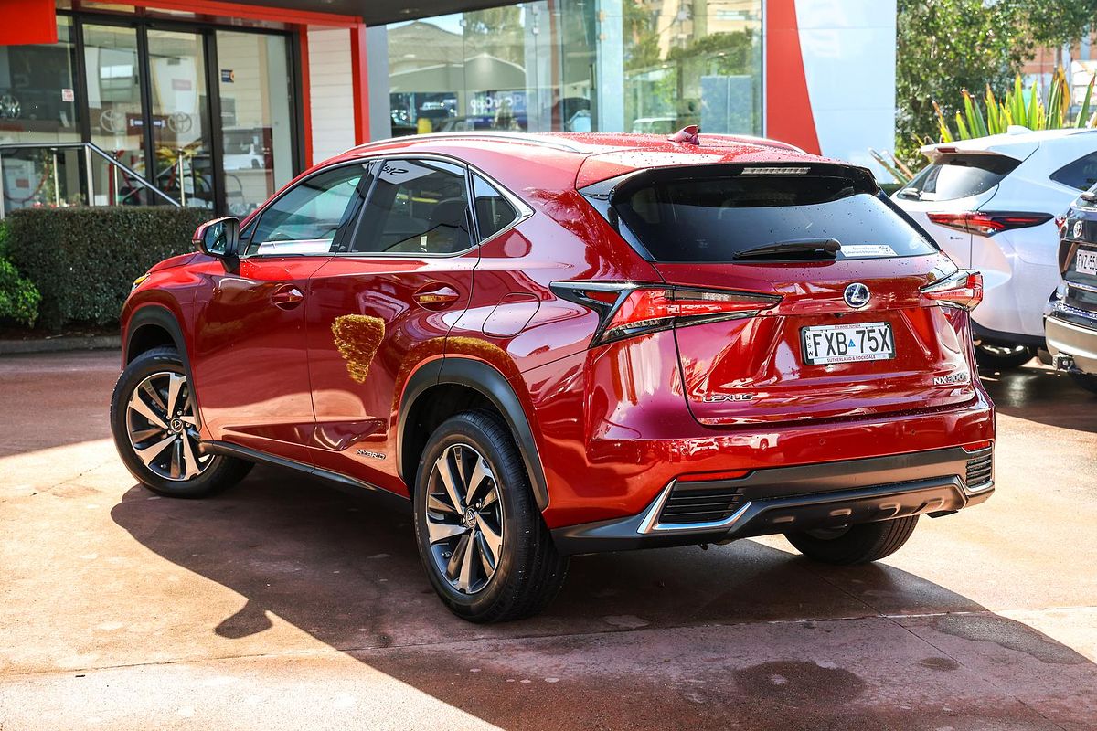 2021 Lexus NX NX300h Sports Luxury AYZ15R