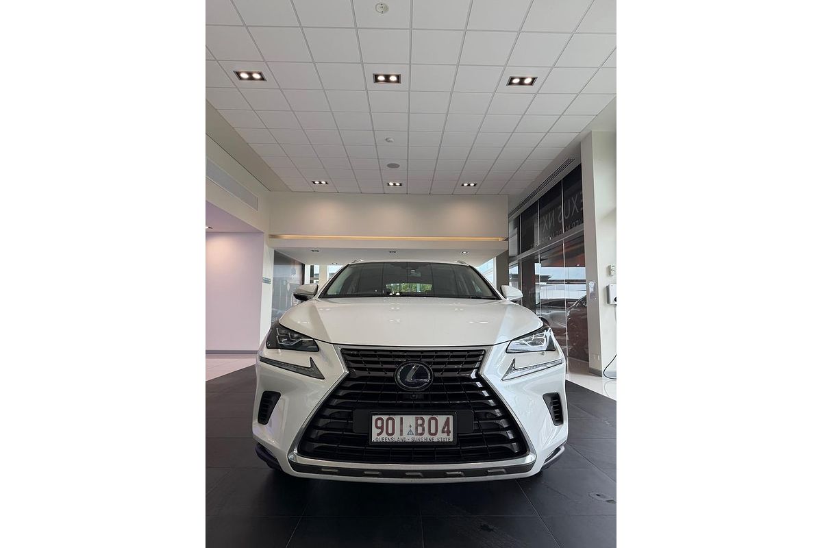 2021 Lexus NX NX300h Sports Luxury AYZ15R