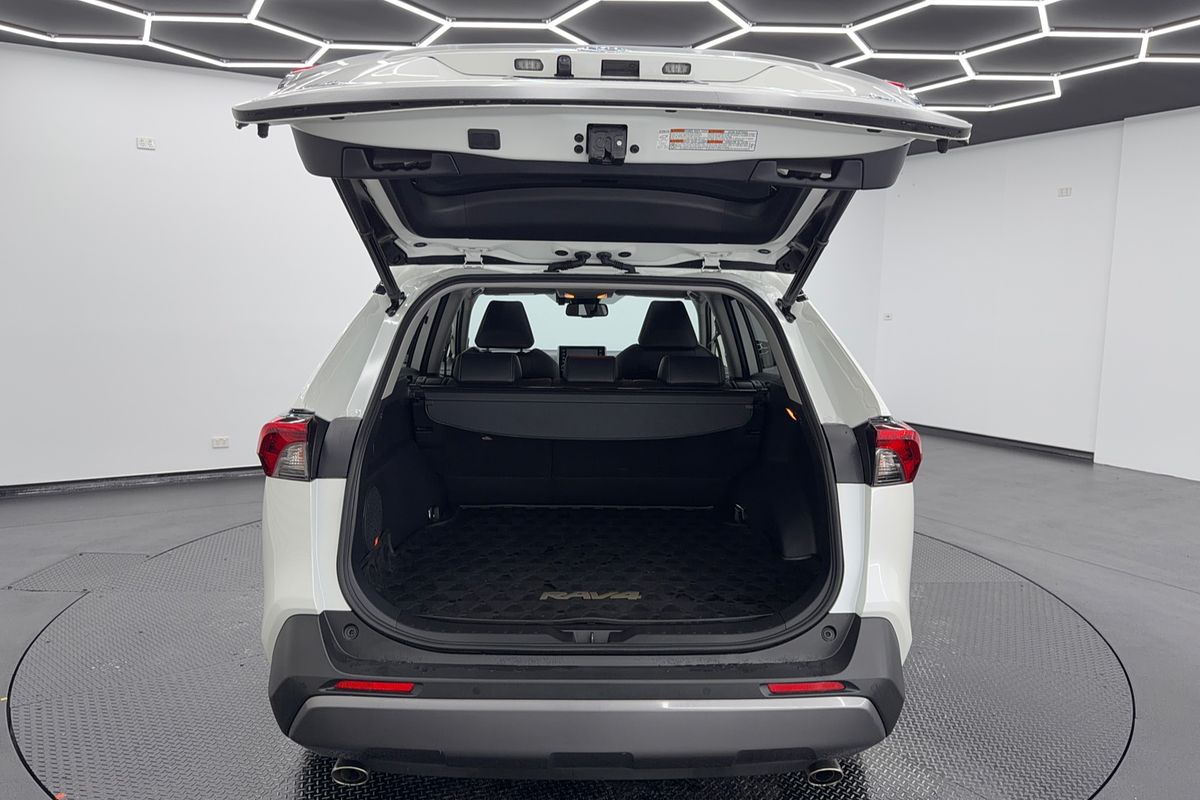 2020 Toyota RAV4 Cruiser AXAH52R
