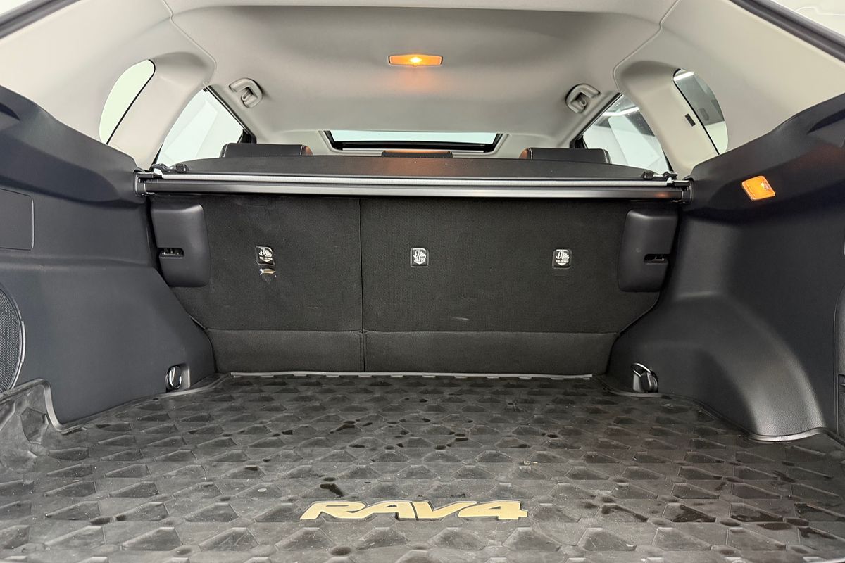2020 Toyota RAV4 Cruiser AXAH52R