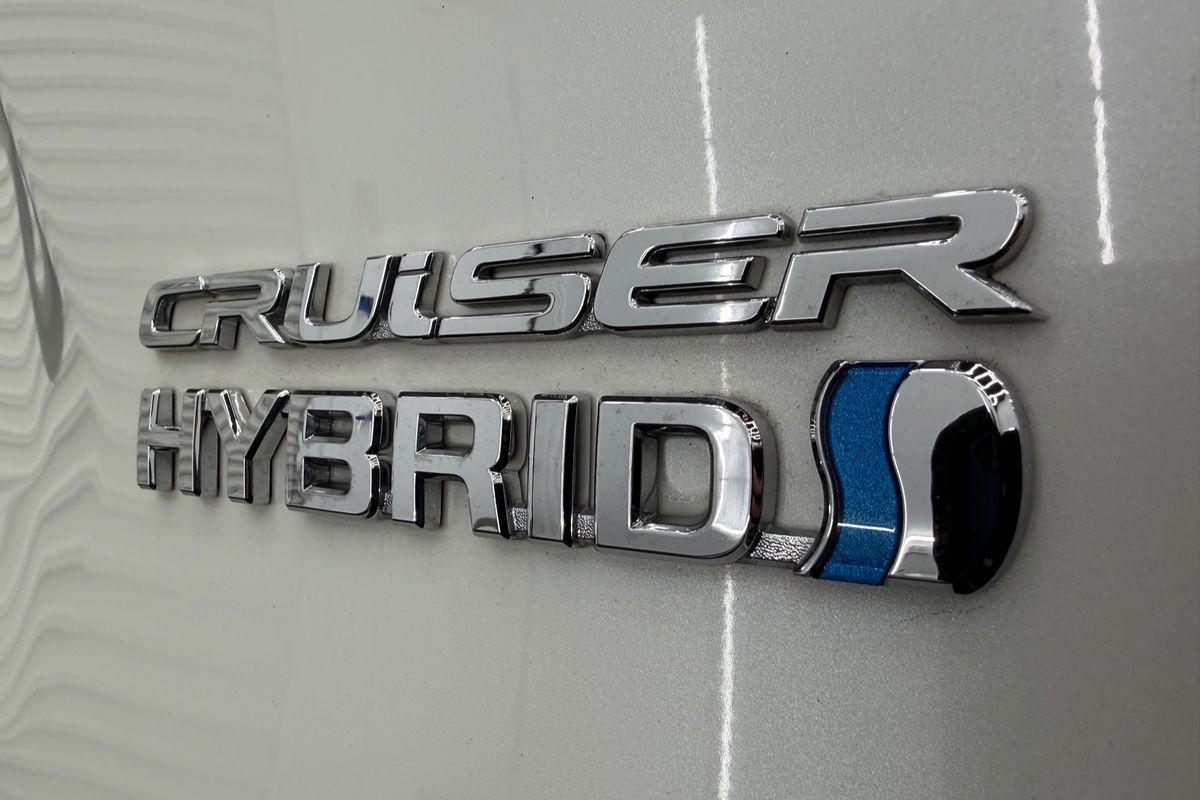 2020 Toyota RAV4 Cruiser AXAH52R